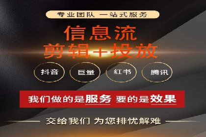某行业领军企业的SEM广告投放策略